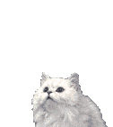 Шэнон
